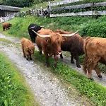Jedlerhof Apartamento Neustift im Stubaital