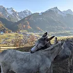 Apartamento Jedlerhof *