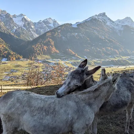 Apartamento Jedlerhof *