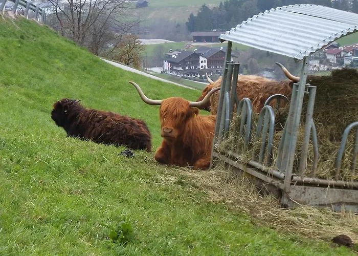 Apartment Jedlerhof *