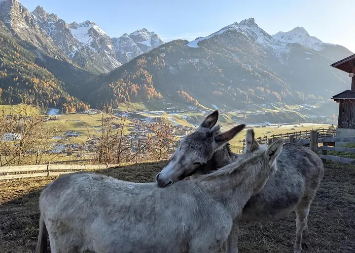 Apartment Jedlerhof *