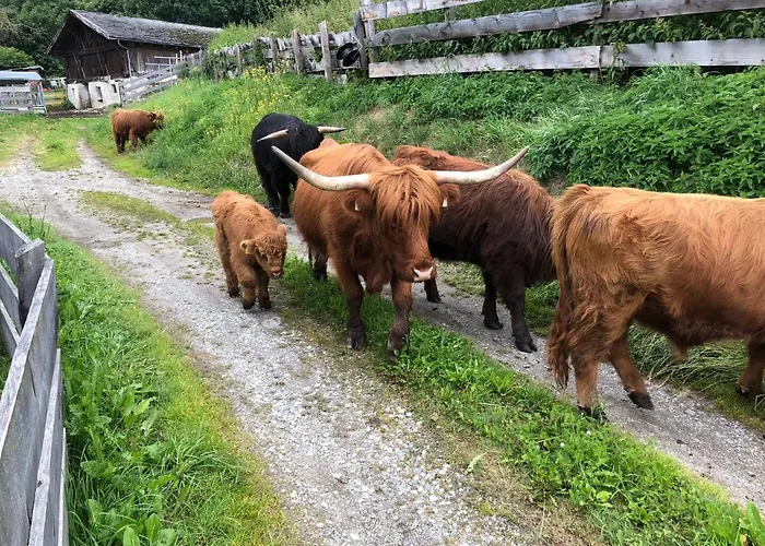 Jedlerhof Apartamento Neustift im Stubaital