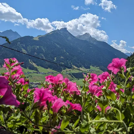 Jedlerhof Appartement *