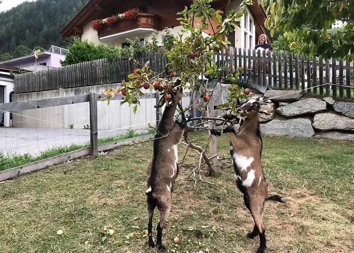 Jedlerhof * Neustift im Stubaital